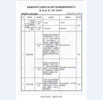 四防門檢驗(yàn)報(bào)告